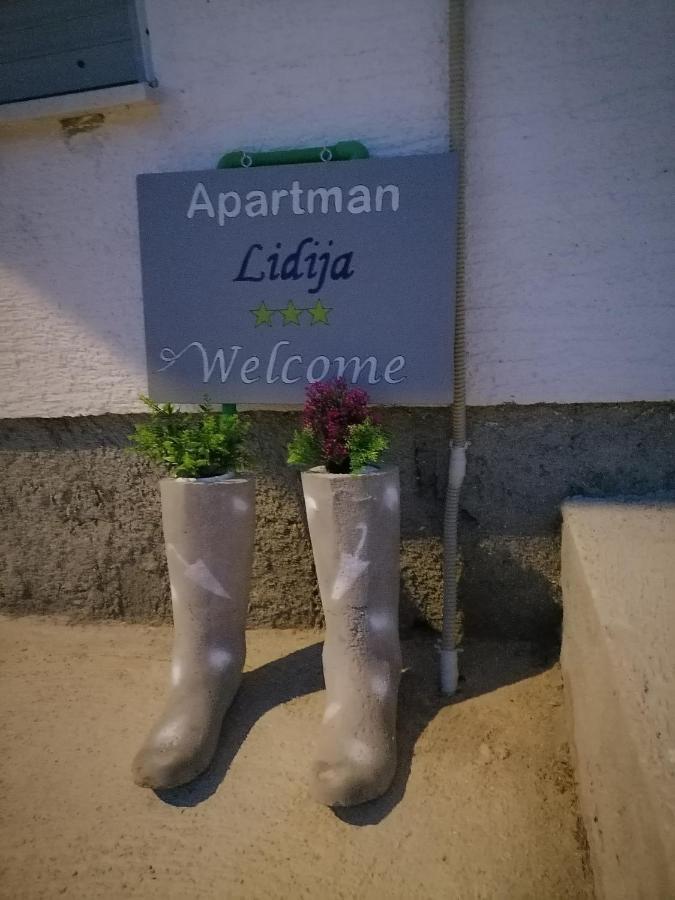 Apartman Lidija Dinjiska Exterior photo